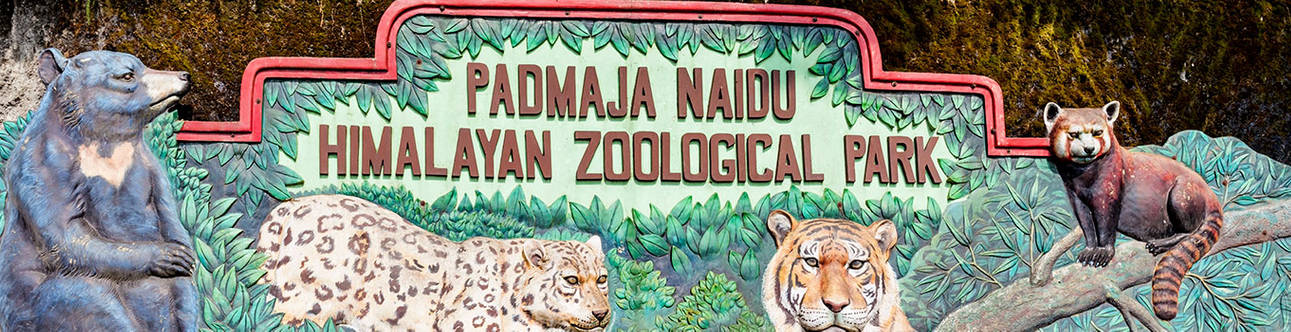 Padmaja Naidu Himalayan Zoological Garden (Zoo) 