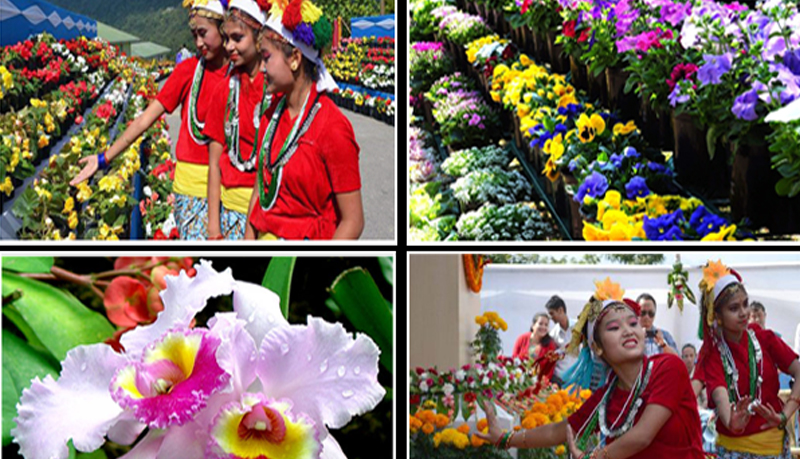 FLOWER FESTIVAL